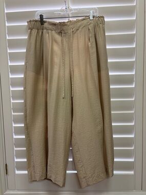 Chico's Neutral Beige Elastic Waist Pull-On Pants